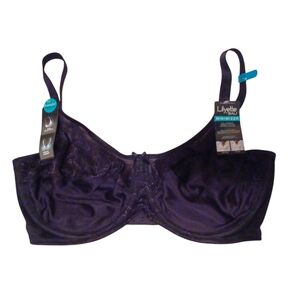 Bali Minimizer Support Bra